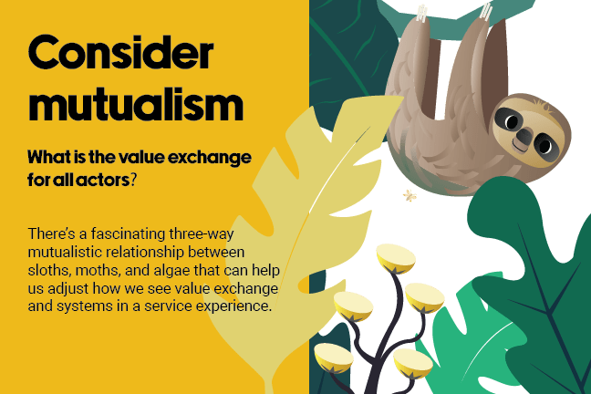 Consider mutualism