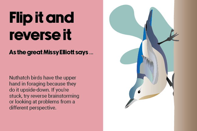 Flip it and reverse it. As the great Missy Elliott says … Nuthatch birds have the upper hand in foraging because they do it upside-down. If you're stuck, try reverse brainstorming or looking at problems from a different perspective.