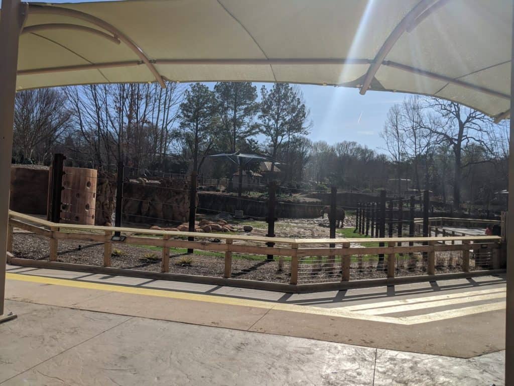 Elephant exhibit