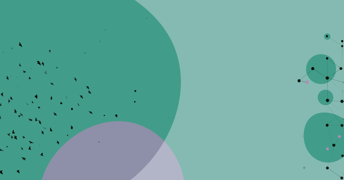 an editorial graphic showing a murmuration of points flowing into structured information.