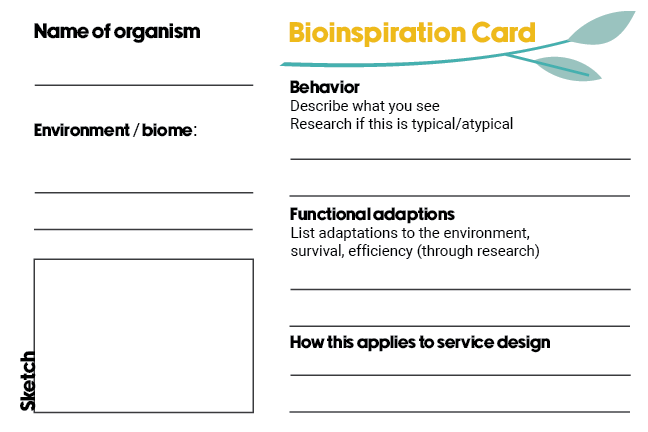 Bioinspiration Card