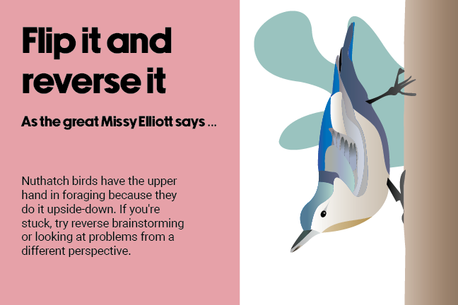 Flip it and reverse it. As the great Missy Elliott says … Nuthatch birds have the upper hand in foraging because they do it upside-down. If you're stuck, try reverse brainstorming or looking at problems from a different perspective.