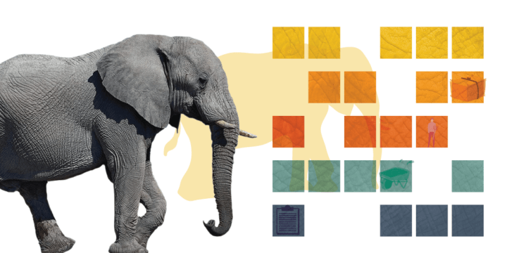 Elephant in the blueprint